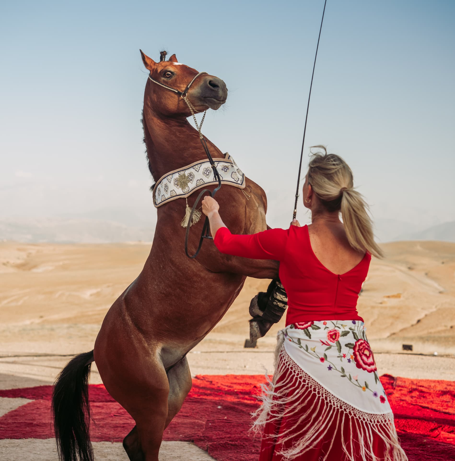 Cavalière en robe rouge dressant un cheval arabe cabré sur un tapis rouge dans le désert marocain, mise en scène signée SBAI Events Production